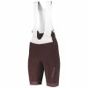SCOTT Bibshorts Endurace Men