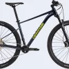 Cannondale Trail SL 2 29