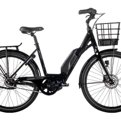 Ecoride Ambassador AXS 26 M5-11,6 E5000 Dam