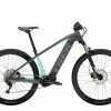 Trek Powerfly 4 29