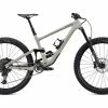 Specialized Enduro Elite Carb 29