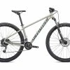 Specialized Rockhopper Sport 29