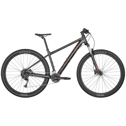 Bergamont Revox 4 29